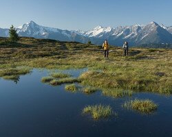 Sommer im Zillertal